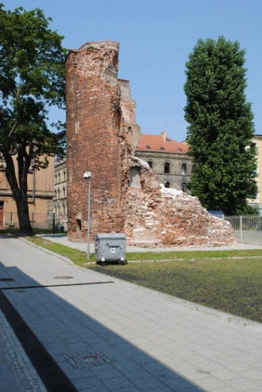 image no 4
